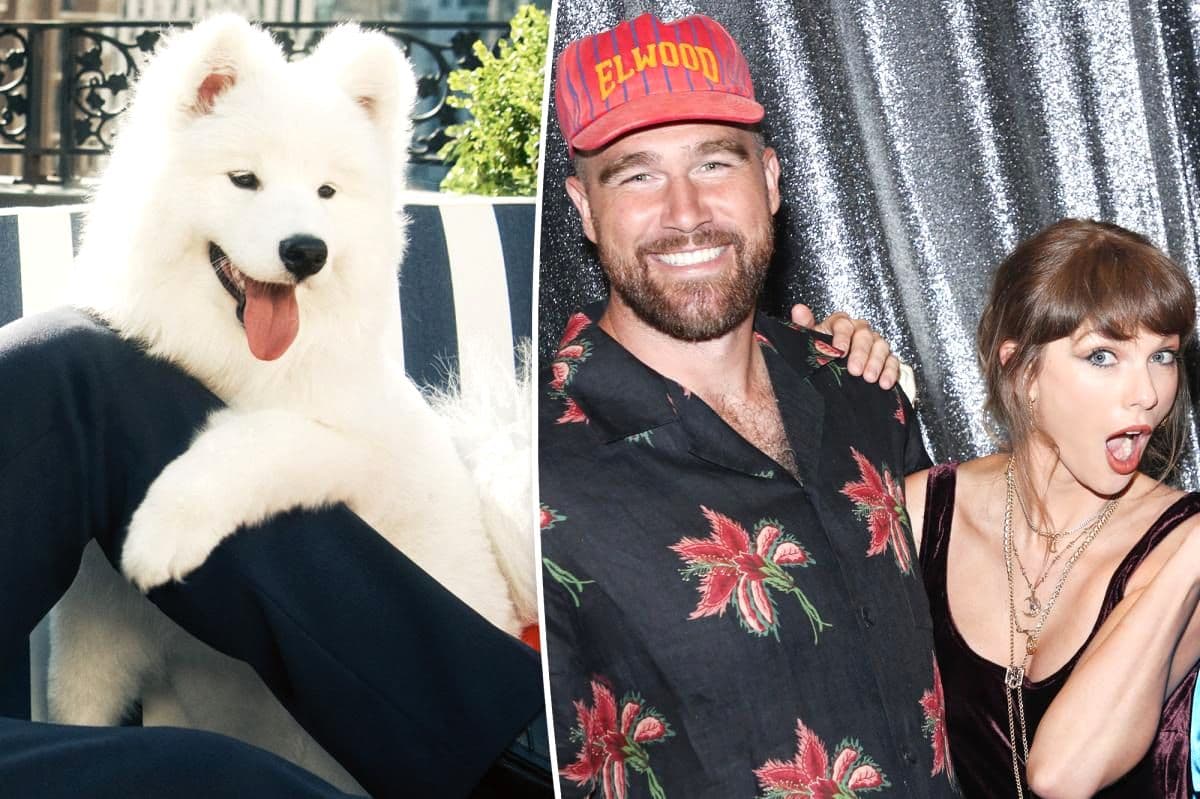 Wendy the Wonder: How Taylor Swift and Travis Kelce’s Secret Samoyed Became the Most Talked-About Pet in Pop Culture