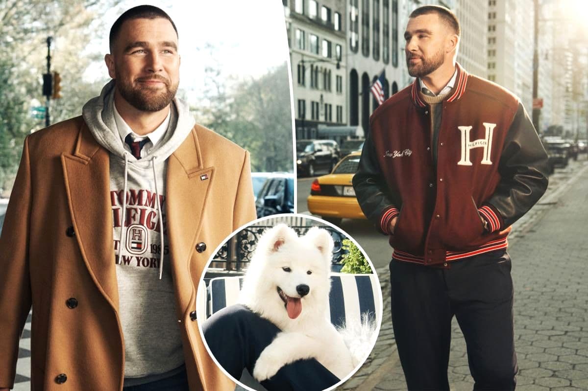 Travis Kelce’s Fluffy Co-Star: How a Mystery Samoyed Became the Face of Tommy Hilfiger’s New York Campaign The streets