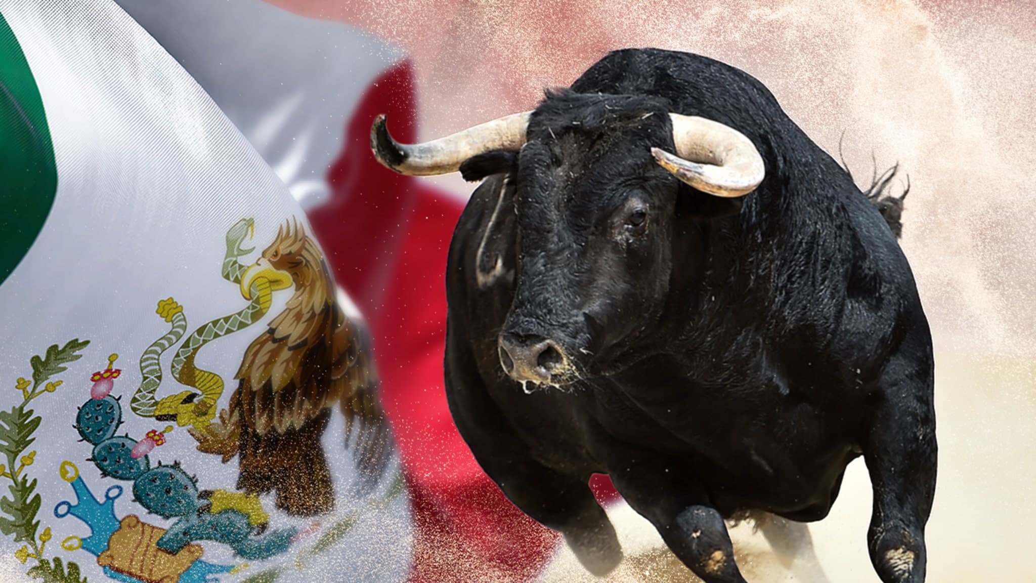 Two Tragic Deaths Mar World's Largest Bull-Running Festival