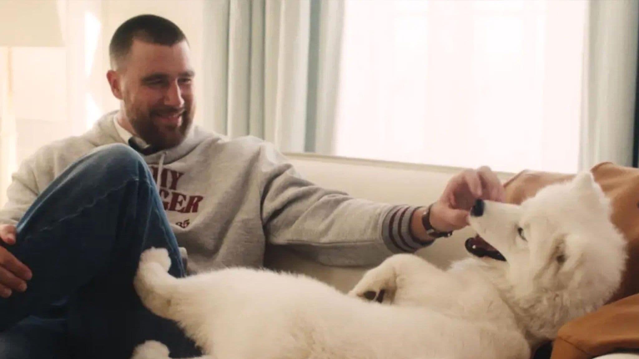 From Private Jet to Runway: How Taylor Swift and Travis Kelce’s Samoyed Wendy Stole the Fall Campaign The moment Wendy