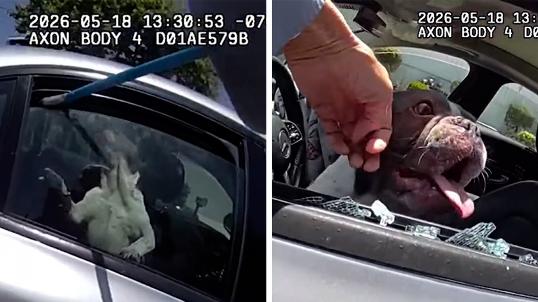 Police Officer Saves Five Dogs From Heat Stroke in a Timely Manner